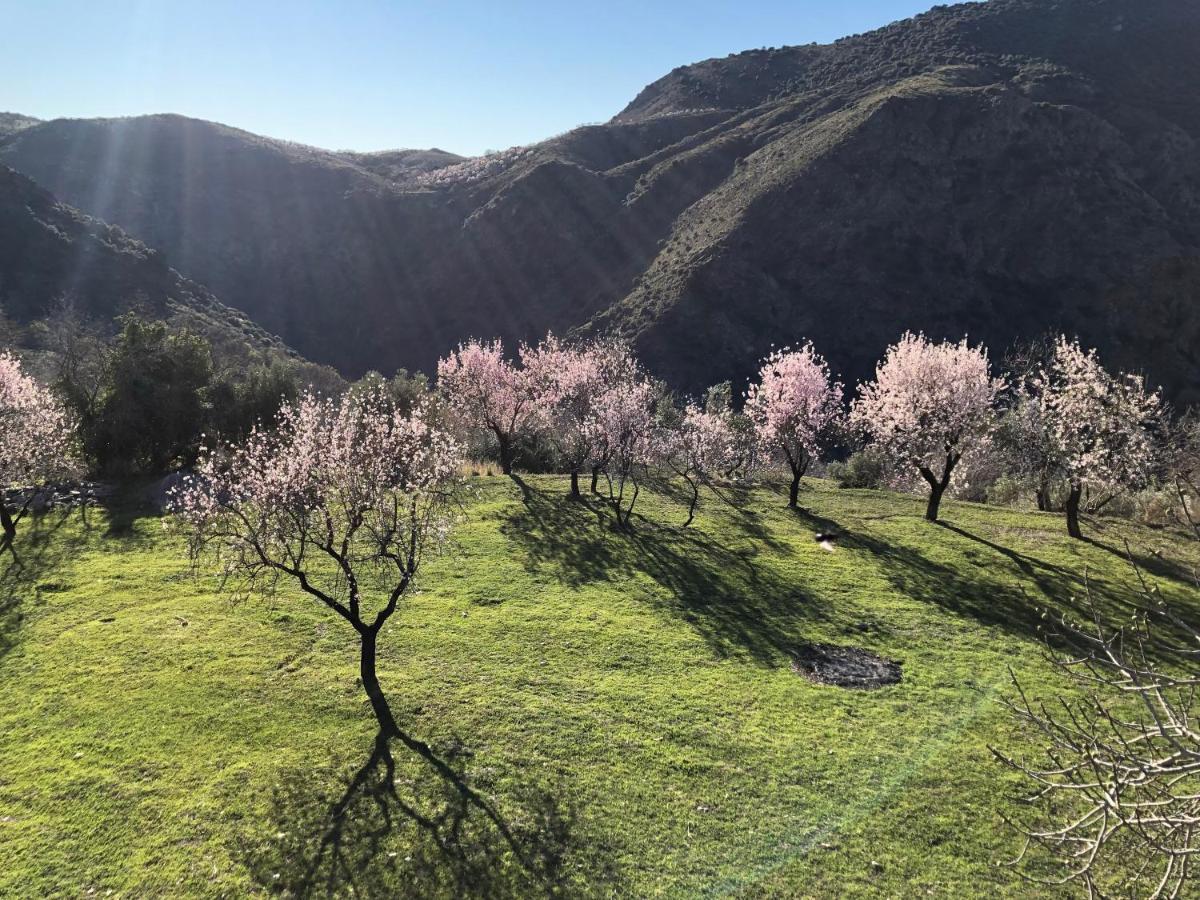 Casa Carmela, Rural House With Spectacular Views, In An Exquisite Area Villa Atalbeitar Екстериор снимка