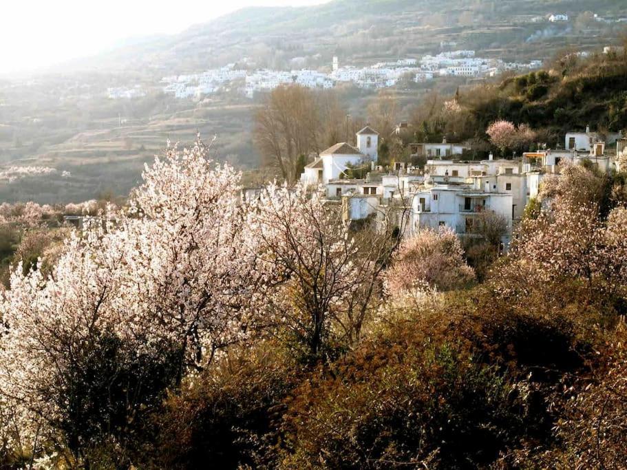 Casa Carmela, Rural House With Spectacular Views, In An Exquisite Area Villa Atalbeitar Екстериор снимка