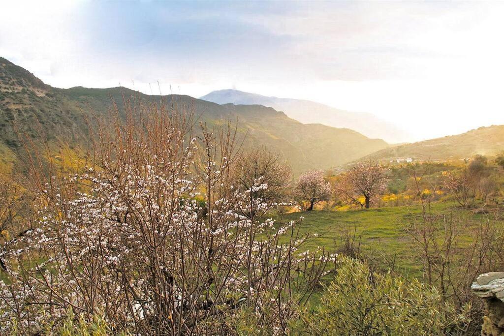 Casa Carmela, Rural House With Spectacular Views, In An Exquisite Area Villa Atalbeitar Екстериор снимка