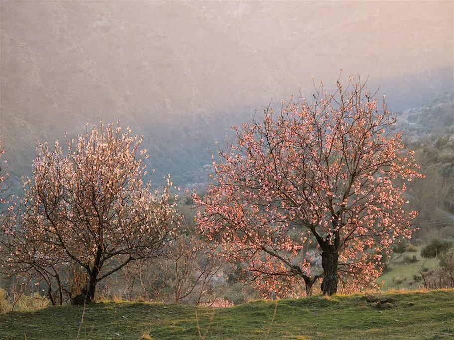 Casa Carmela, Rural House With Spectacular Views, In An Exquisite Area Villa Atalbeitar Екстериор снимка